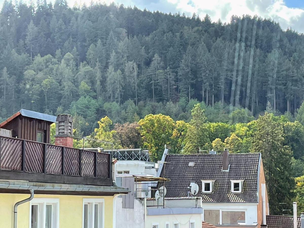 Black Forest Apartment *